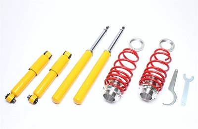 Coilovers TA Technix Fiat Punto, Cabriolet, type 176