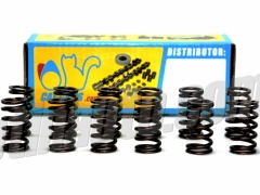 Molas Válvula reforçadas CatCams saxo 106 16v