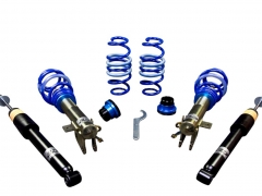 Coilovers AP - Honda Civic VIII  (FN, FK) Type-R (148 KW, 201 CV) (09/2006-)
