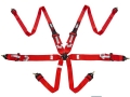 Cinto RRS R6 HANS 2023 FIA Vermelho