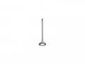 Valvula Escape Supertech INCONEL PEEVI-28066 STD Citroen 1.6 16v TU5JP4