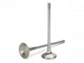 Válvula Escape Inconel Supertech 30.50mm (+0.5) Honda K20 K24