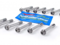 Parafusos Biela ARP Bmw M52 M52TU M54B30 N54 N55 S55