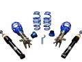 Coilovers AP - Honda Civic VIII  (FN, FK) Type-R (148 KW, 201 CV) (09/2006-)